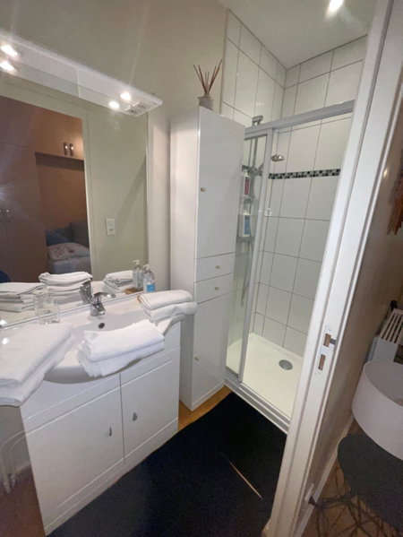 Appartement François 1er, Vichy, France