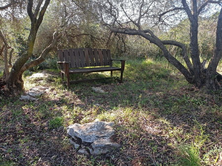 Ecoutez les oiseaux, Lunel, France