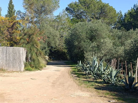 Ecoutez les oiseaux, Lunel, France