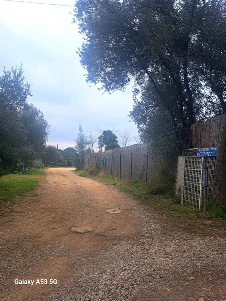 Ecoutez les oiseaux, Lunel, France