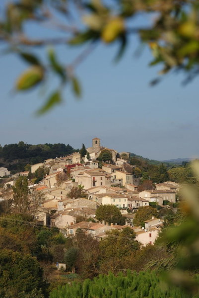 Logis Hôtel Restaurant La Bergerie, Aragon, France