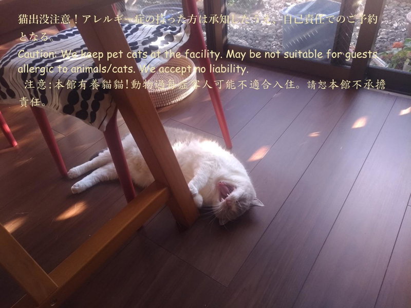 Guesthome Machiya Koza 全館個室 MONTHLY PLANお問合せ下さい, Okinawa City, Japan