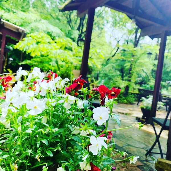 Sanrinsha, Takamori, Japan