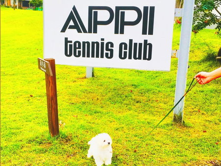 Appi Arts Color, Hachimantai, Japan