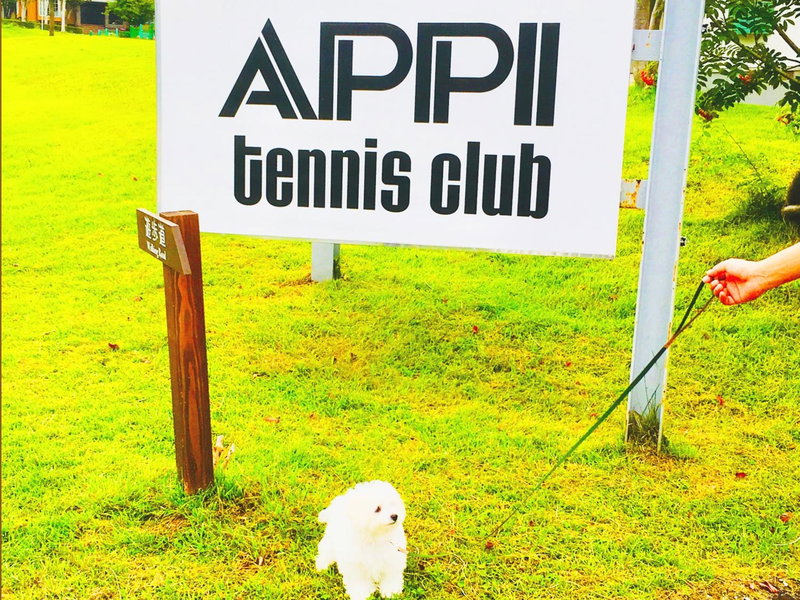 Appi Arts Color, Hachimantai, Japan