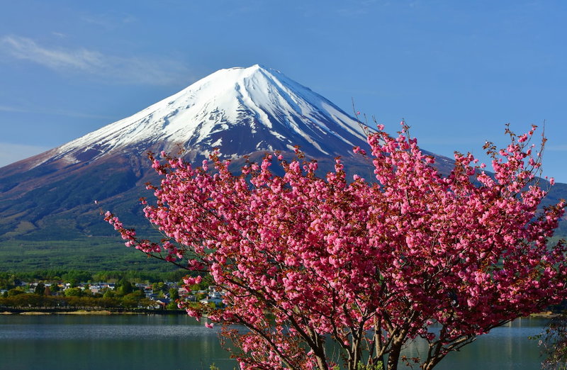 Cottage Tozawa Center, Fujikawaguchiko, Japan