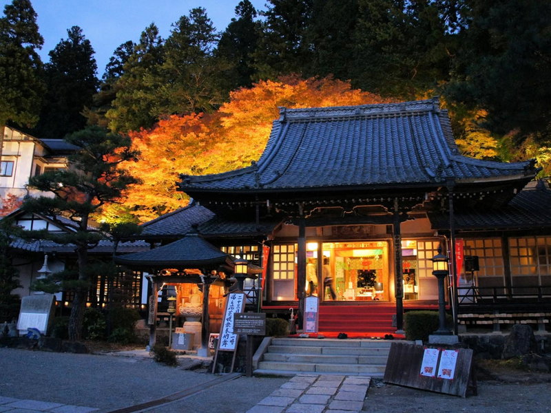 Ooedo Onsen Monogatari Gero Bekkan, Gero, Japan