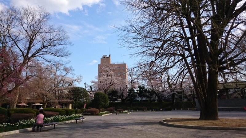 Hotel Wakasa, Ashikaga, Japan