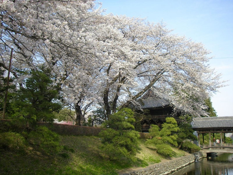 Hotel Wakasa, Ashikaga, Japan