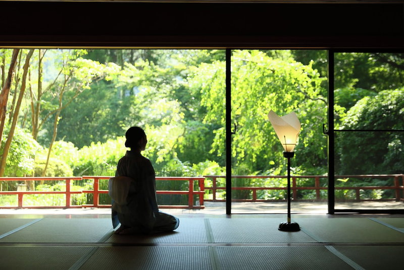 Tsubaki, Yugawara, Japan