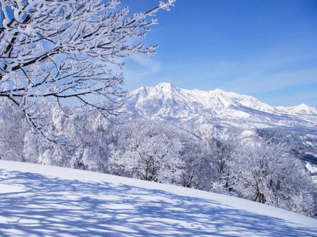Madarao Elm Pension, Iiyama, Japan