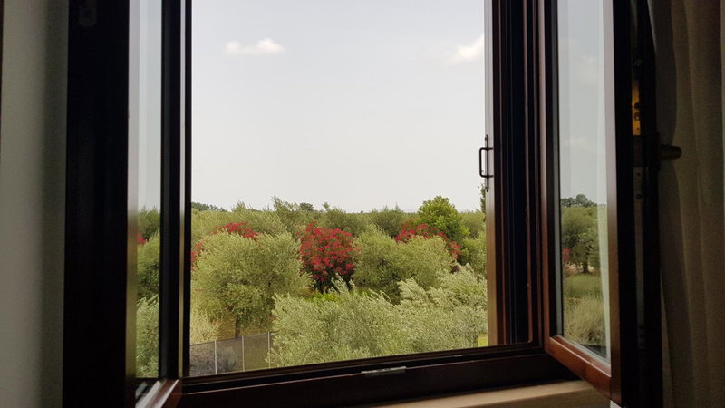 Il Casale degli Ulivi - Agriturismo - TENIMENTI LEONE, Lanuvio, Italy