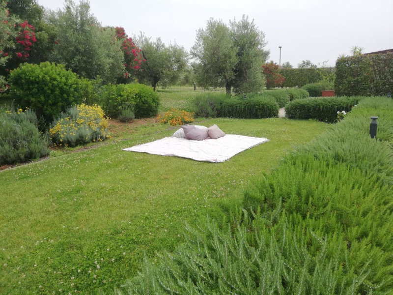 Il Casale degli Ulivi - Agriturismo - TENIMENTI LEONE, Lanuvio, Italy