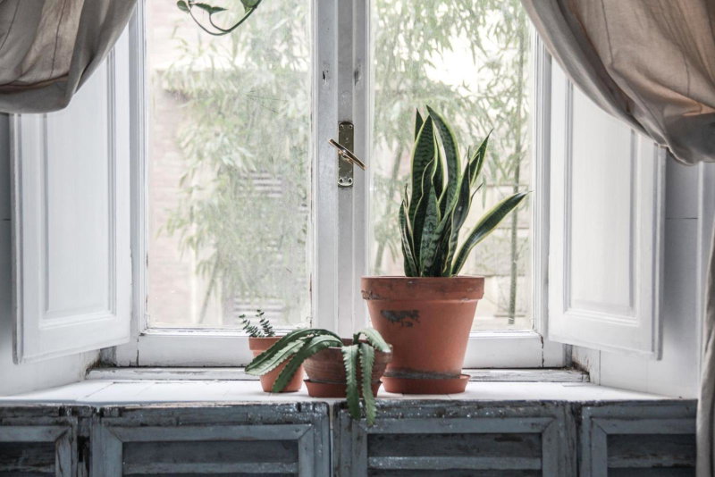 Coliving Trastevere, Rome, Italy