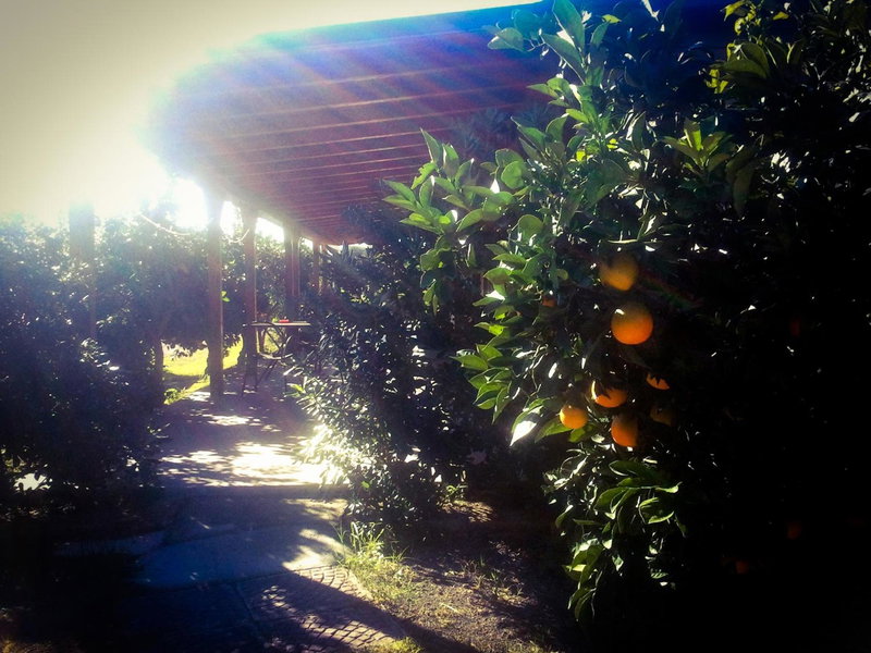 Il Giardino Del Sole, Agnone Bagni, Italy