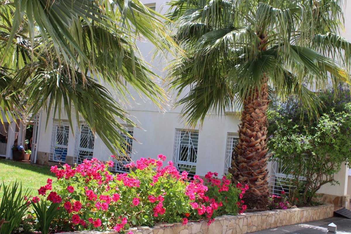 Hotel · Hotel Oreneta, Altafulla
