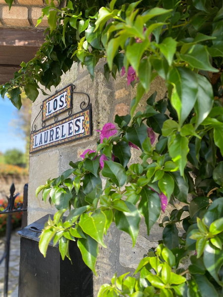 Casa Los Laureles, Hinojedo, Spain