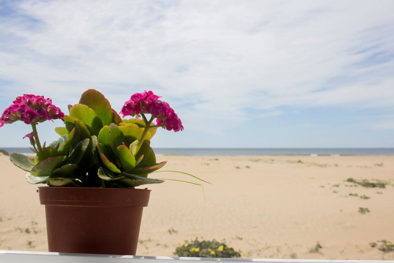 Apartamentos Calypso, Punta Umbría, Spain