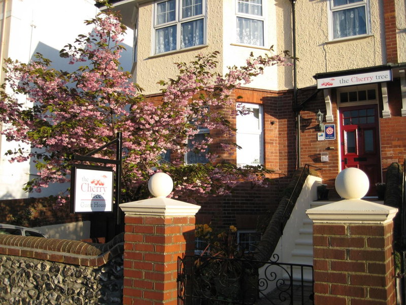 The Cherry Tree B&B, Eastbourne, United Kingdom