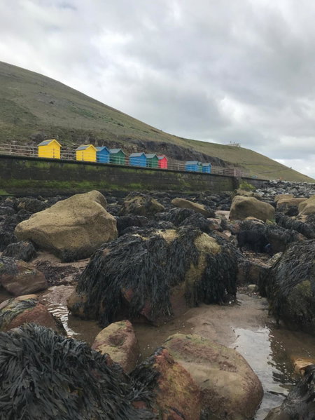 Mooredge Guest House, Whitby, United Kingdom