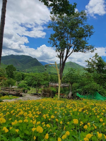 Mari Pai Resort, Pai, Thailand