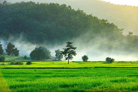 Baan Sin Suk, Chiang Rai, Thailand