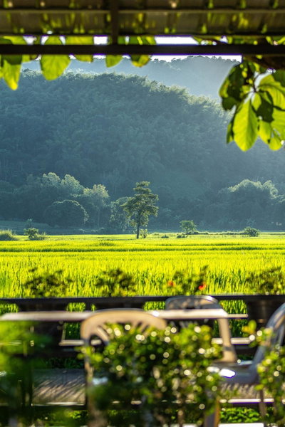Baan Sin Suk, Chiang Rai, Thailand