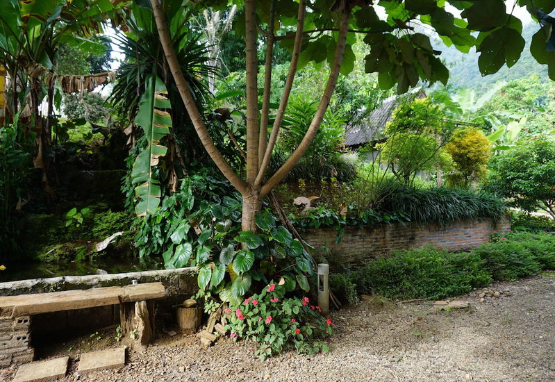 Suanboon Cottage, Chiang Dao, Thailand