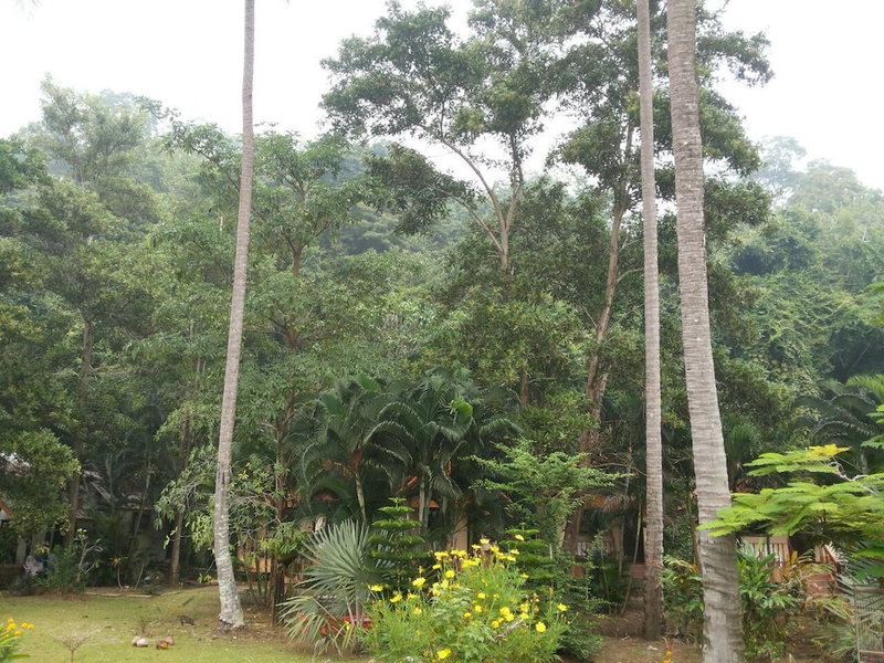 Grand Andaman Resort, La-ngu, Thailand