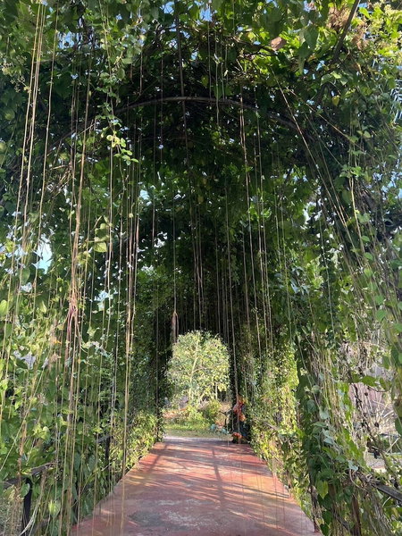 Banana Place Resort, Chumphon, Thailand
