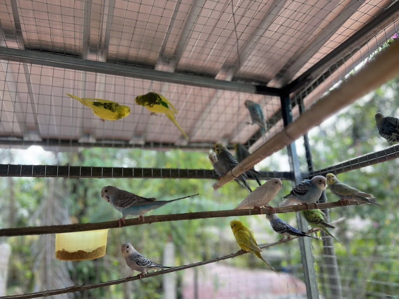 Banana Place Resort, Chumphon, Thailand