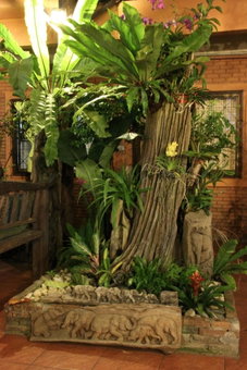 SK House, Chiang Mai, Thailand