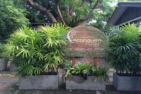 Fern House Retreat, Chalong, Thailand