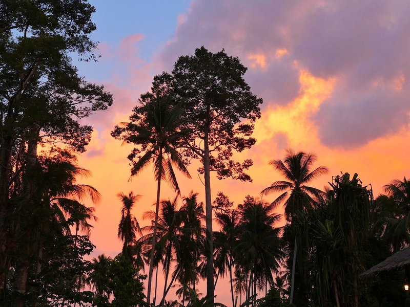 Samui Caravans Hill Camp, Koh Samui, Thailand