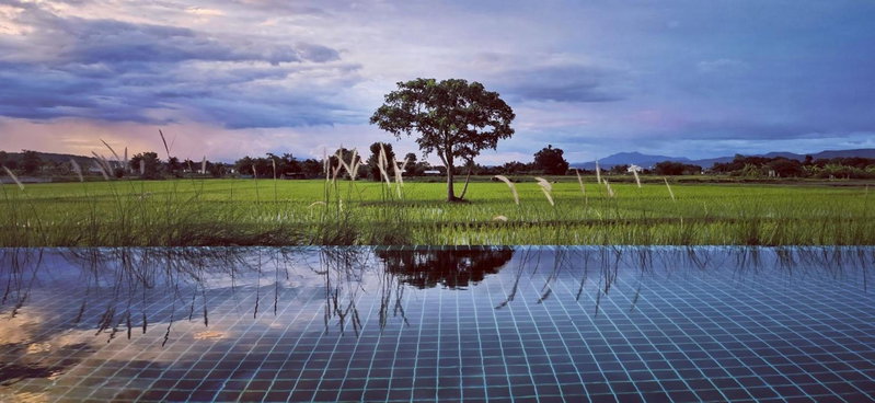 Rice Villa Chiang Mai, Ban Wang Mun, Thailand