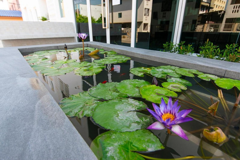 Matini Premium @ Klong 1, Ban Talat Rangsit, Thailand