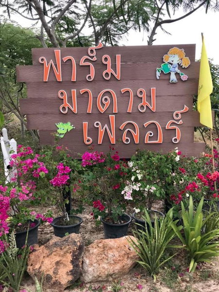 Farm Madame Fleur, Cha Am, Thailand