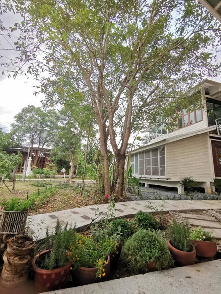 Baangaimuan, Lamphun, Thailand