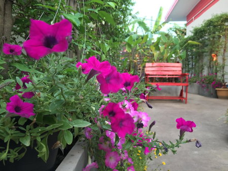 Honghub Sakon Hotel, Sakon Nakhon, Thailand