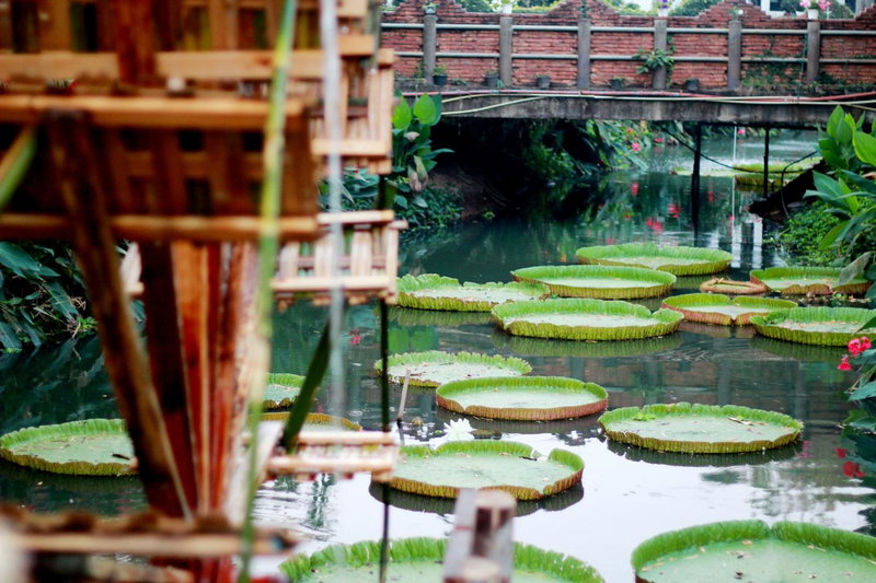 NIM SEE SENG Hotel, Chiang Mai, Thailand