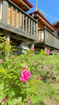 Pilita Bungalov&Rest, Ayder Yaylasi, Turkey