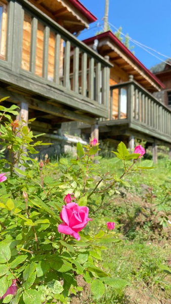 Pilita Bungalov&Rest, Ayder Yaylasi, Turkey