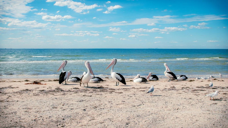 Bellarine Bayside Portarlington, Portarlington, Australia