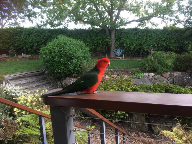 Rocky Rest, Orange, Australia