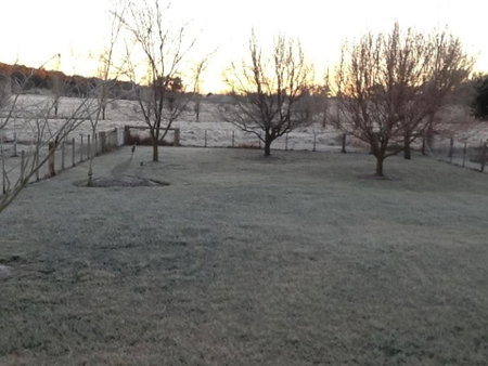 Glen Waverly Farmstay, Glen Innes, Australia