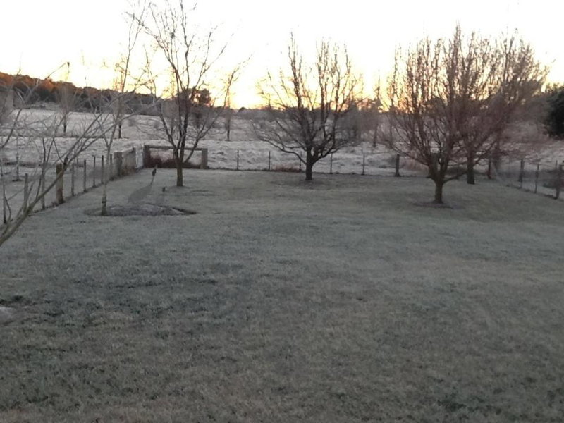 Glen Waverly Farmstay, Glen Innes, Australia