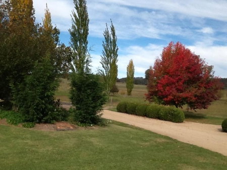 Glen Waverly Farmstay, Glen Innes, Australia