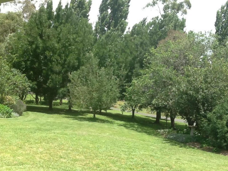 Glen Waverly Farmstay, Glen Innes, Australia