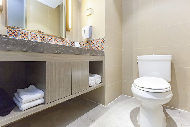 Holiday Inn Express Lhasa Potala Palace by IHG, Lhasa, China