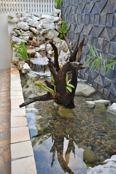 Casa Janaab Palenque - Hostel, Palenque, Mexico
